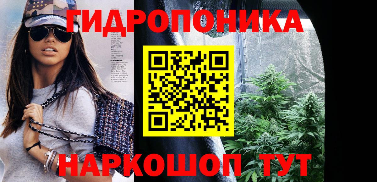 МАРИХУАНА сатива Обь